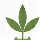 Plant care icon